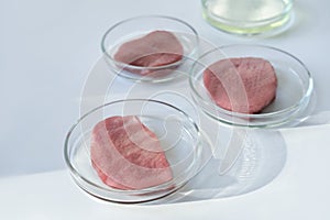 Lab gown meat in a Petri dish. Meat in glass cell culture dish