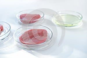 Lab gown meat in a Petri dish. Meat in glass cell culture dish