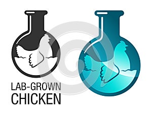 Lab-grown chicken meat - cultured food made in lab