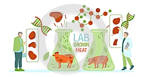 Lab grown meat. Horizontal image. Vector illustration