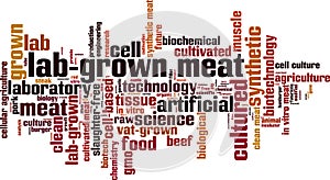 Lab-grown meat word cloud