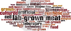 Lab-grown meat word cloud