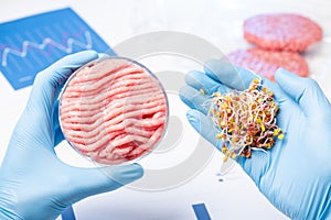 Lab scientist show plant material for animal meat substitute