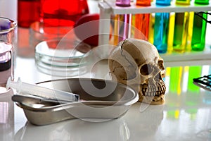 Lab table showcased an assortment of chemical equipment from beakers to test tubes rafted skull model.