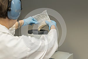 Lab technician with blue nitril gloves and ear protection pouring a rice sample in a mill