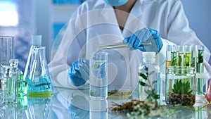 Lab technician pouring oil in test liquid, cosmetics production, aromatherapy