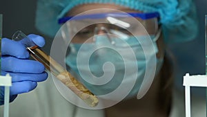 Lab worker checking meat sample in test tube, typing research result on tablet