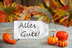 Label, Alles Gute Means Best Wishes, Pumpkin And Leaves