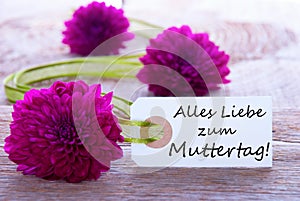 Label with Alles Liebe zum Muttertag photo