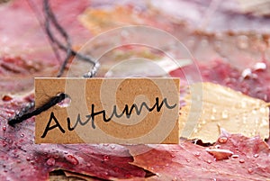 A label with autumn on it