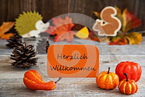 Label With Autumn Decoration, Willkommen Means Welcome