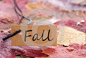 Label with Fall on it