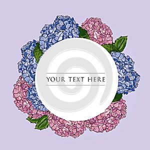 Label floral design template. Vector hand drawn illustration outline pink and blue Hydrangea on round frame on white background.