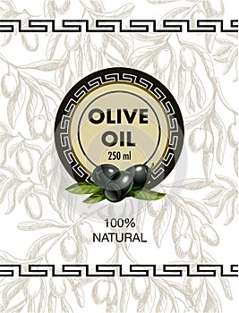 Label for olive oil with realistic olives and Greek meander pattern. Vector illustration.