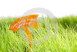 Label With Spring Has Sprung On Green Grass