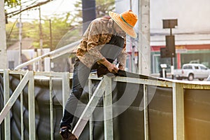 Label technician working install Daytime