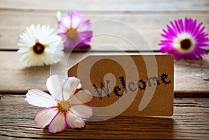 Label With Text Welcome With Cosmea Blossoms photo