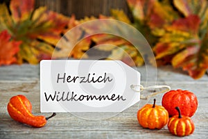 Label With Text Willkommen Means Welcome, Pumpkin And Leaves