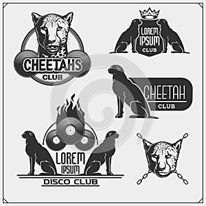 Labels, emblems and design elements for sport club with cheetahs. Print design for t-shirt.