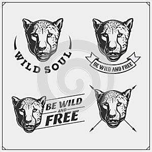 Labels, emblems and design elements for sport club with cheetahs. Print design for t-shirt.