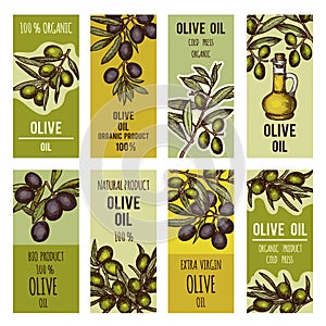 Labels set for olive oil bottles. Vector design template for premium products
