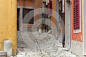 Labin in Istria, Croatia