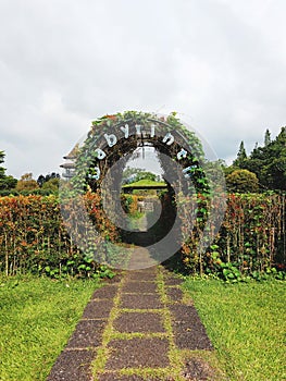 Labirinth entrance for playing maze garden photo