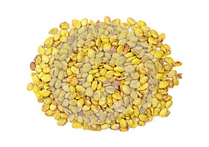 Lablab purpureus bean