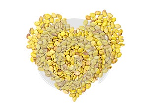 Lablab purpureus bean