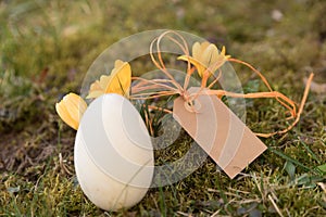 Lable with an easter egg and crocuses