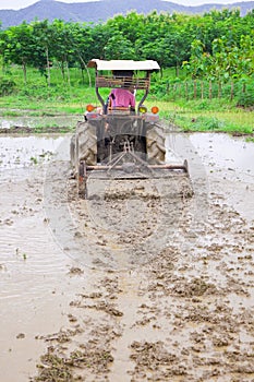 Labor saving of Thai farmer for rice cultivation