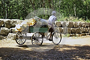 A labor worker carrying goods for living in rural area of India