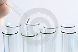 A laboratorian is making analysis using a pipette with some chemical substance amd test tubes photo