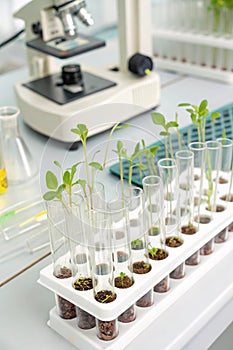 Laboratory analysis of genetically modified plants