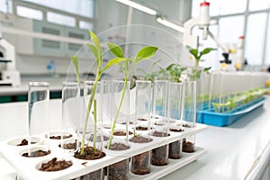 Laboratory analysis of genetically modified plants