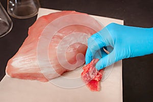 Laboratory analysis of meat. A piece of meat in the bowl of ipetri. Close-up