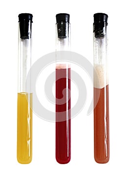 laboratory apparatus with colorful solution chemistry flask experiments tube