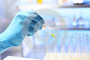 Laboratory assistant dripping urine sample for analysis from pipette into test tube