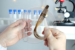 Laboratory assistant examines a hair sample, curls in a package for research by genetic research in laboratory, trichologist