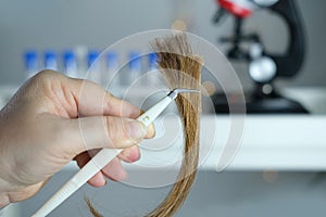 Laboratory assistant examines a hair sample, curls in a package for research by genetic research in laboratory, trichologist