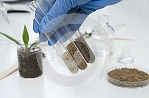 Laboratory assistant holding glass tubes of sand, black soil and clay befor testing them