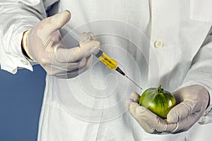 laboratory assistant injects into a green tomato with nitrates so that they are fresh, GMOs