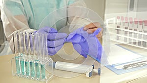 Laboratory assistant sitting at the desk puts on protective latex gloves. Ready for work.