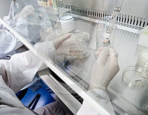 Laboratory assistant in a sterile environment for micro-sampling