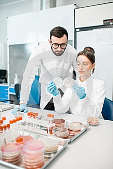 Laboratory assistants in the bacteriological department