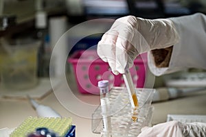 Laboratory Bio Analyst Handling Laboratory Equipment