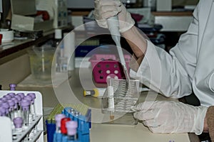 Laboratory Bio Analyst Handling Laboratory Equipment