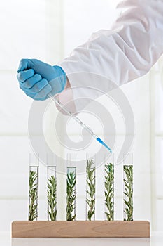 Laboratory cloning experiment on plants