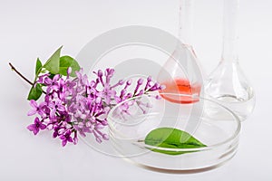 Laboratory dish for extraction of natural ingredients in perfumery