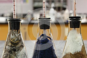 Laboratory experiment: the best insulation